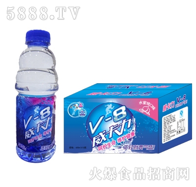 V-8ˮζ600ml15ƿ